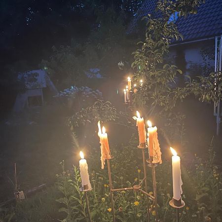 Waldhaus Bei Berlin Lägenhet Eggersdorf  Exteriör bild