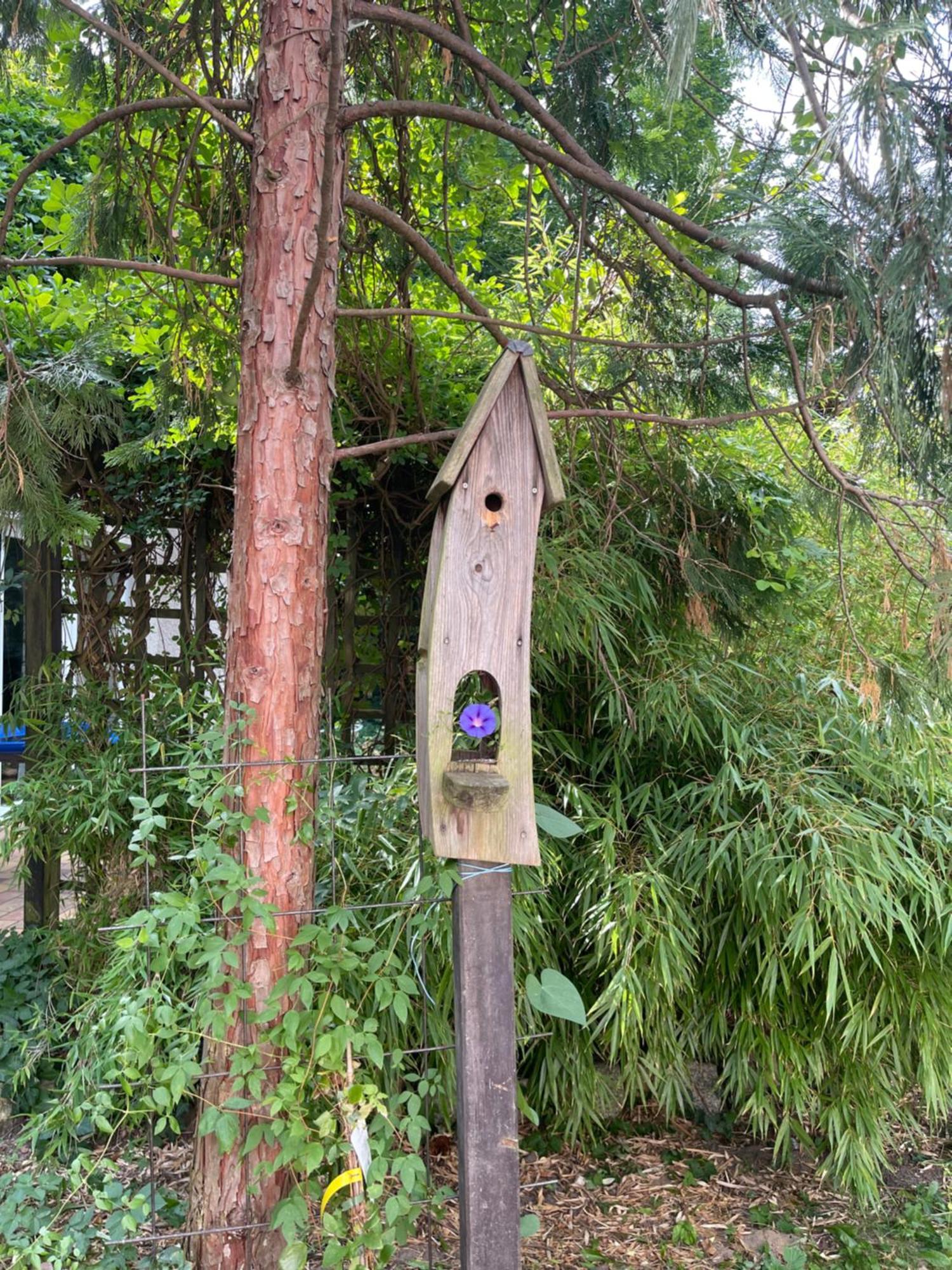 Waldhaus Bei Berlin Lägenhet Eggersdorf  Exteriör bild